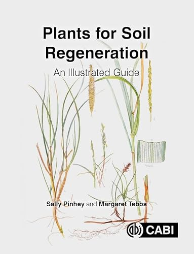 Plants for Soil Regeneration: A Guide