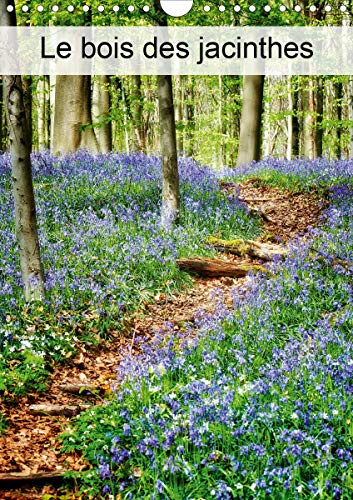 Le bois des Jacinthes (Calendrier mural 2020 DIN A4 vertical): Hallerbos, la forêt féerique (Calendrier mensuel, 14 Pages )