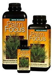 Palm Focus - Growth Technology 1L