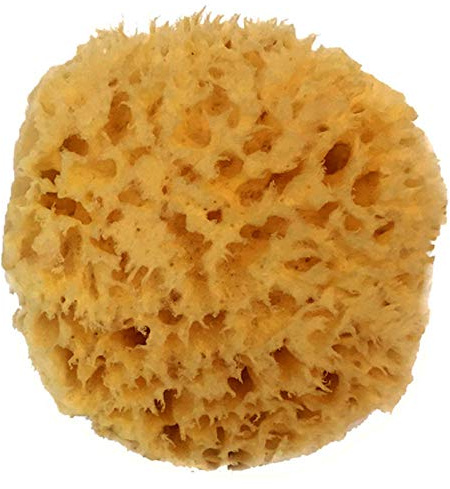 Natural Sea Wool Sponge 4-5 by Spa Destinations ® Amazing Natural Renewable Resource Creating The in Perfect Bath and Shower Experience
