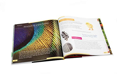Invisible World. Knowledge Book About Biology, Microscopes and Microworld for Primary and Secondary School Age [Hardcover] O. Mazur [Unknown Binding] O. Mazur