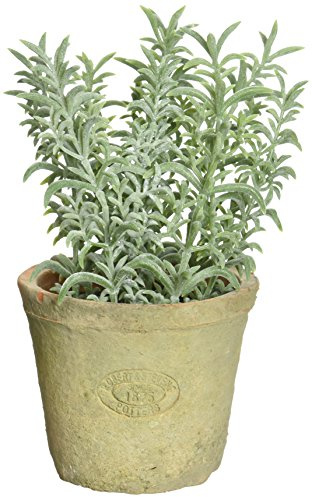 Esschert's Design AH001 Kleine künstliche Pflanze in Terrakotta-Topf im Antik-Stil, Thymian/grün