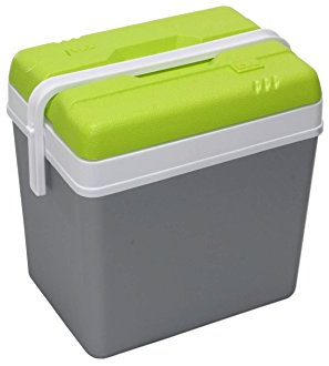 GLACIERE 24 L EDA GRIS ET VERT PREVUE POUR BOUTEILLES 2L DEBOUT