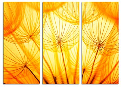 Paul Sinus Art 130x90cm – Keilrahmenbild Löwenzahn Samen Pusteblume angestrahlt golden 3teiliges Wandbild auf Leinwand und Keilrahmen - Fotobild Kunstdruck Artprint