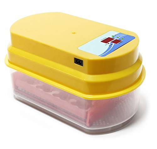 Wiltec Automatische Brutmaschine für 12 Eier, Inkubator mit vollautomatischem Wendesystem, Brutautomat mit Temperatursteuerung und Feuchtigskeitsregulierung, Brutkasten zum Eier ausbrüten