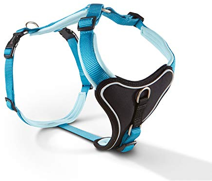 Wolters | Geschirr Professional Comfort in Aqua/Azur | Brustumfang 90 - 110 cm