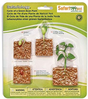 Safari Ltd 9 Figurines d'arbre Miniatures | Figurines de forêt Miniatures | Non Toxique et sans BPA | Convient aux Enfants de 3 Ans et Plus, Vert