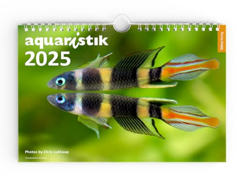 aquaristik 2025 - Foto-Wandkalender
