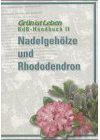 Nadelgehölze und Rhododendron