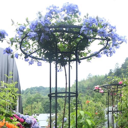 Enrejado vertical de jardín para plantas trepadoras, soporte de metal inoxidable para rosas y vides de glicinia, jaula de soporte para paraguas de 210 cm, estante para flores al aire libre (negro, 150