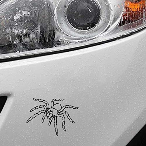 Venomous Tarantula Spider Fangs Fun Window Bumper Vinilo JDM Pegatina 15 cm x 10,9 cm
