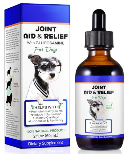 Joint & Hip Supplement with Glucosamine for Dog, Joint Aid Liquid Drops with Chondroitin & Turmeric Oil for Joints Comfort & Mobility Support, Pet Supplement for Older & Stiff Dog, Beef Flavor - 60 ml