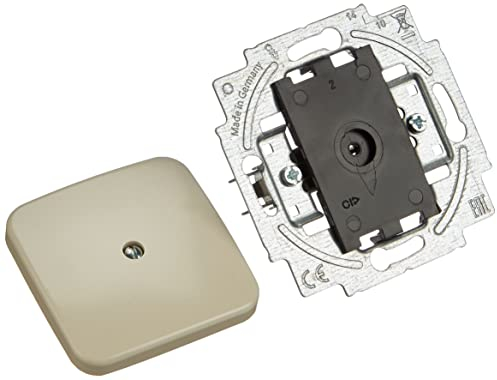 Busch-Jaeger 2538-212, Placca centrale cieca