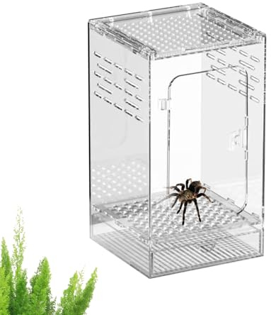 Recinzione Per Saltatori - Habitat Per Allevamento In Acrilico, Scatola Trasparente Per E Insetti, Esposizione Sicura Per Mantidi Religiose, Rettili, Piccoli Grilli, Scorpioni, Scarafaggi,