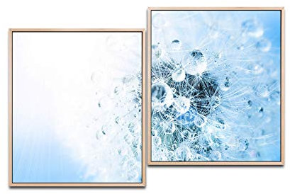 Paul Sinus Art Pusteblume mit Tropfen 130 x 90 cm (2 Bilder ca. 75x65cm) Leinwandbilder fertig im Schattenfugenrahmen NATUR Kunstdruck XXL modern