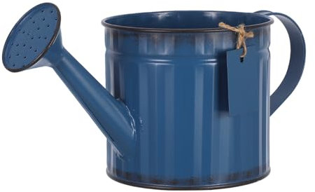 Happyyami Arrosoir en Fer Outil De Plantation De Jardin Décoration De Jardinière Arrosoir Extérieur Arrosoir à Bec Décor Vintage Arrosoir Long Bec Outil D'arrosage Arrosoir Utile Blue Le Fer