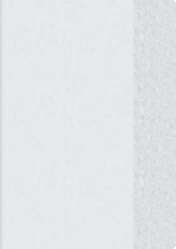 Brunnen 104054599 Hefthülle (für A5 mit Namensschild in der Einstecktasche, 1 Umschlag) klar