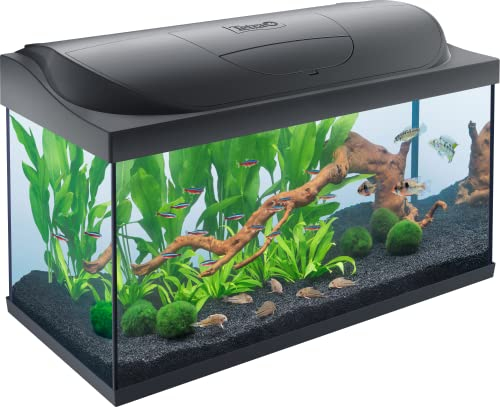 Tetra Starter Line LED 105 l Acquario per principianti, illuminazione LED con modalità luce diurna/notturna