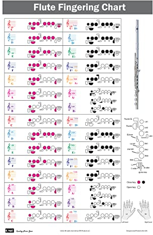 QMG Flöten-Grifftabelle mit farbcodierten Notizen, Lernflöten-Technik, geeignet für alle Niveaus
