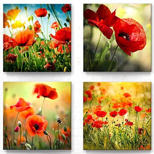 BilderKing 4 wunderschöne Mohn-Blumen Wandbilder - jedes Leinwandbild ist 40x40cm groß und aufhängefertig, eine moderne Wohnzimmer oder Schlafzimmer Dekoration - Naturbilder Landschaftsbilder Set-A