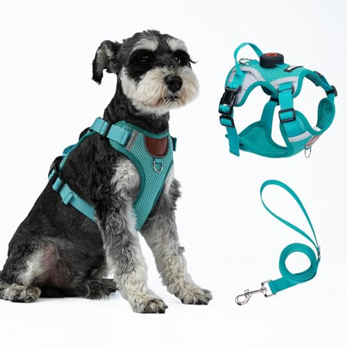 Katzengeschirr und Leine, Set mit AirTag-Halter, ausbruchsicher, verstellbare Kätzchen-Weste mit Leine für große Katzen, fette, kleine Hunde, Welpen, weiche, atmungsaktive Netzjacke mit