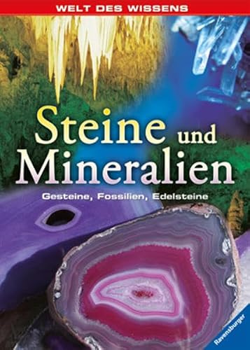 Steine und Mineralien: Gesteine, Fossilien, Edelsteine (Welt des Wissens)