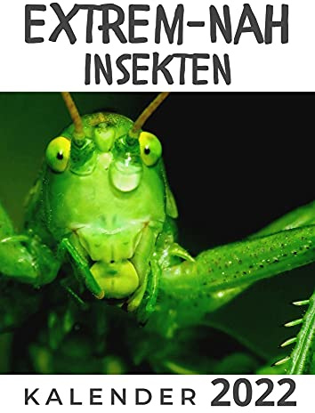 Extrem nah Insekten: Kalender 2022
