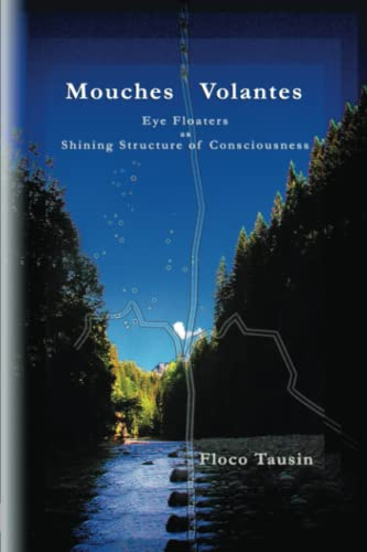 Mouches Volantes: Eye Floaters as Shining Structure of Consciousness