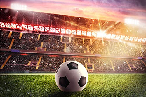 Muralo Selbstklebende Fototapete 416x254 Wohnzimmer Fußball Stadion Moderne Tapete Schlafzimmer Wandbilder Wandtapete Wandtattoo XXL Br. 416 cm x Hö. 254 cm