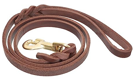 YARNOW 2stücke Hundeleine Hochwertigem Für Mittelgroße Und Große Hunde Langlebig Und Hautfreundlich Für Tägliche Mit Praktischem Karabiner