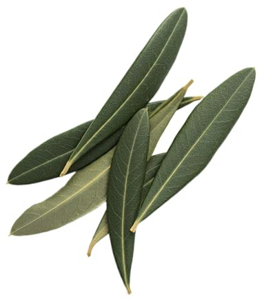 Sussex Wholefoods Dried Olive Leaves 500g