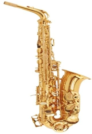 Saxophon Es-Altsaxophon-Instrument Geeignet Für Anfänger Und Erwachsene Für Professionellen Spielen Mit Zubehör