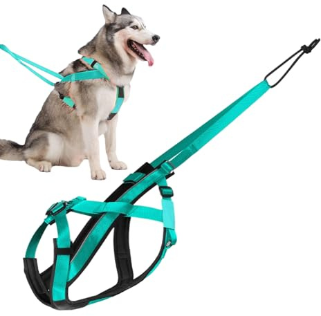 Xiixuuj Zuggeschirr für Hunde – Reflektierendes Laufgeschirr für Hunde | Verstellbares Traktionsseil für Schlitten-Training, Spazierengehen, Übung, Sport, Outdoor-Aktivitäten