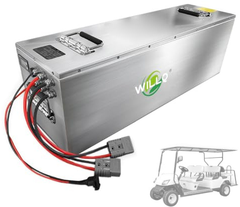 WILLQ Batería portátil LiFePO4 para Exteriores 24V 48V 60V 25.6V 51.2V 64V 100Ah 150Ah 300Ah de Litio para Carrito de Golf, RV, Almacenamiento de energía y Luces de Emergencia