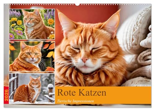 Rote Katzen (Wandkalender 2026 DIN A2 quer), CALVENDO Monatskalender: 12 abwechslungsreiche Fotos von rot getigerten Katzen. (CALVENDO Tiere)
