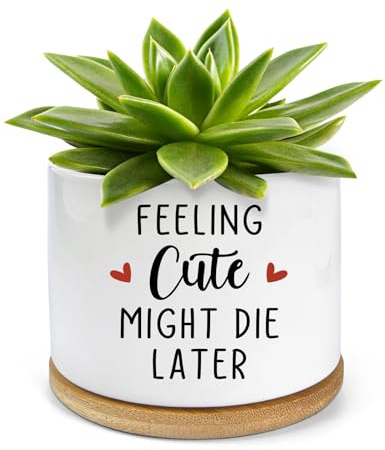 PWHINGN Feeling Cute Might Die Later- White Ceramic Engraved Mini Succulent Aloe Cactus Planter Pot, 3.5 inch Succulent Indoor Flower Plant Pots with Bamboo Tray for Home Office Windowsill