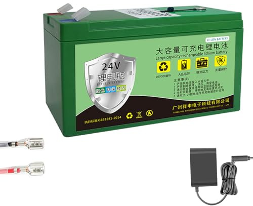 HJGHY 24v,10Ah, Batería de Litio de 24 V, 10 Ah, 12 Ah, 6 Ah y 8 Ah, estación de energía portátil, baterías de Litio con Cargador para sonda, iluminación y cortacésped.
