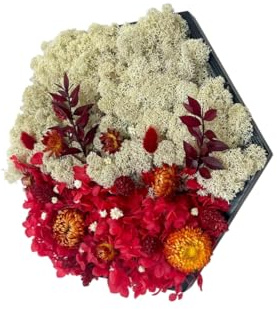 Gedankenwunder Manufaktur Moosbild Roter Hortensien Blumenwald Hortensien & Islandmoos Hexagon Wabe