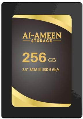 ALMACENAMIENTO AI AS-SSD-CST SSD SATA III de 2.5 Pulgadas | 64 GB a 1 TB | NAND 3D TLC | hasta 560 MB/s de Lectura y Escritura | Bajo Consumo de energía | Alta Resistencia | Cumple con RoHS (256, GB)