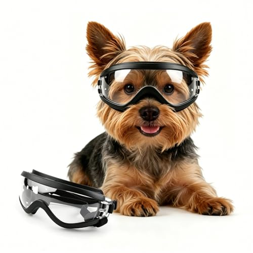 PETLESO Hundebrille für kleine Rassen, UV-Schutz, winddicht, Augenschutz, Motorradbrille mit verstellbaren Riemen, für Fahren/Outdoor-Aktivitäten, Größe S
