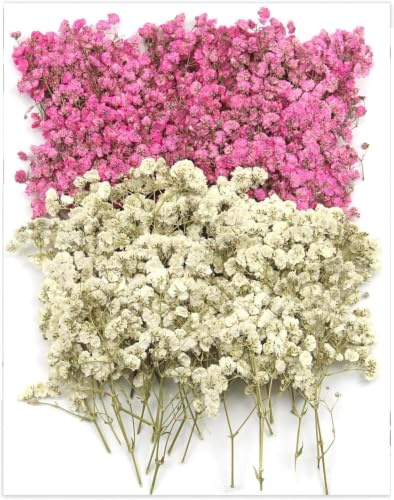 120 Stück Getrocknetes Schleierkraut Weiß Rosa Trockenblumen zum Basteln Mini Trockenblumen Deko für Kerzen, Kunsthandwerk aus Kunstharz, Grußkarten, Maniküre, Handyhüllen