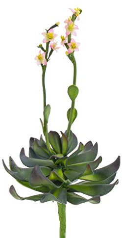 artplants.de Kunstpflanze Aeonium auf Steckstab, rosa Blüten, 30cm - Künstliche Sukkulente - Kunst Kakteen