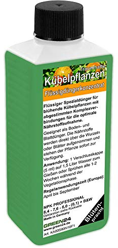 GREEN24 Kübelpflanzen-Dünger HIGHTECH Dünger für mediterrane Pflanzen in Topf & Kübel