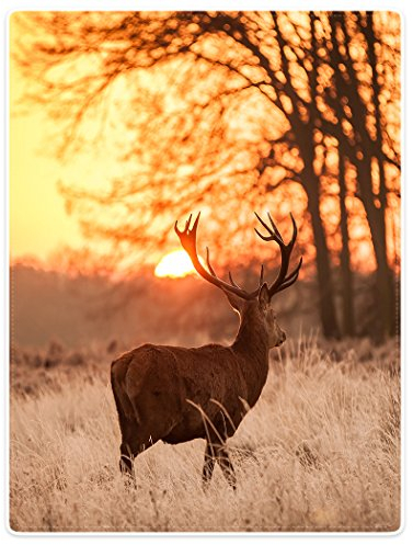 YISUMEI Decke 125x200 cm Kuscheldecken Sanft Flanell Weich Fleecedecke Bettüberwurf Hirsch Gelbes Gras