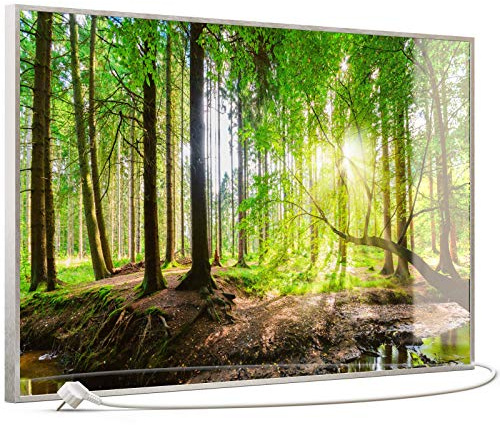 STEINFELD Heizsysteme® Glas Bild Flächenheizkörper Infrarotheizung mit Thermostat | Made in Germany | viele Motive 350-1200 Watt Rahmen silber/alu (600 Watt, 067 Wald Panorama)