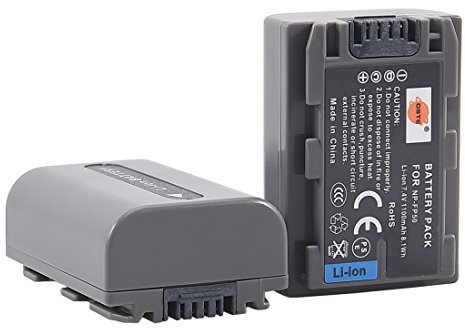 DSTE(2 Pack) Batteria di ricambio NP-FP50 NP-FP30 compatibile con Sony DCR-30 DCR-DVD103 DCR-DVD105E DCR-DVD202E DCR-DVD203 DCR-DVD203E