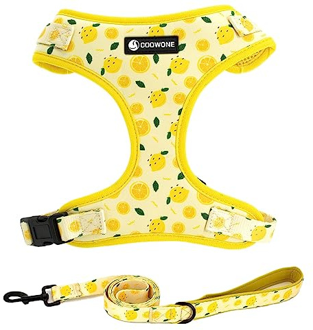 Dog Harness and Leash Set, Adjustable Dog Harness, Dog Leash, No Pull No Choke Puppy Harnesses for Walking Training for Small Medium Pet