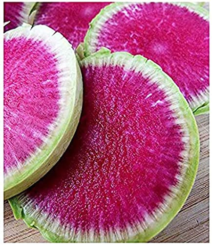 Watermelon Radish - Heirloom Seeds