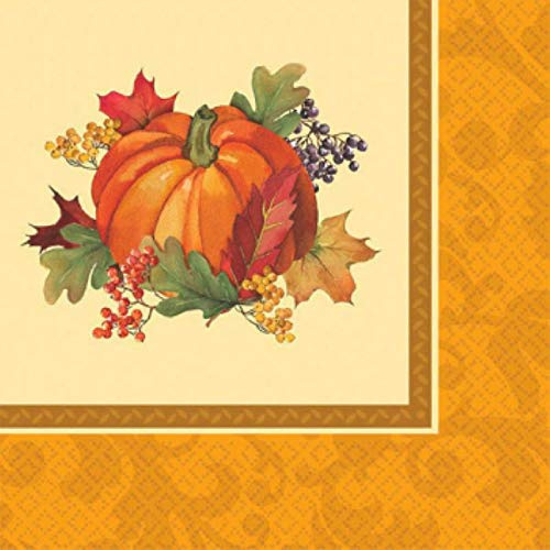Amscan Bountiful Thanksgiving Beverage Paper Napkins - 5 x 5, Multicolor, 16 pcs