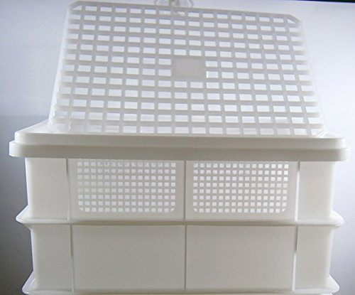 Kit de Fabrication et d’Affinage du Fromage – Bacs Fermé & Perforé 30x40x10 cm – Avec Couvercle et Grille d’Affinage – Capacité 10L